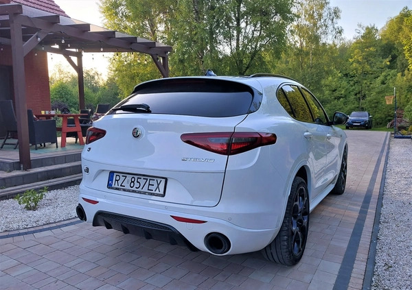 Alfa Romeo Stelvio cena 189000 przebieg: 11000, rok produkcji 2023 z Rzeszów małe 667